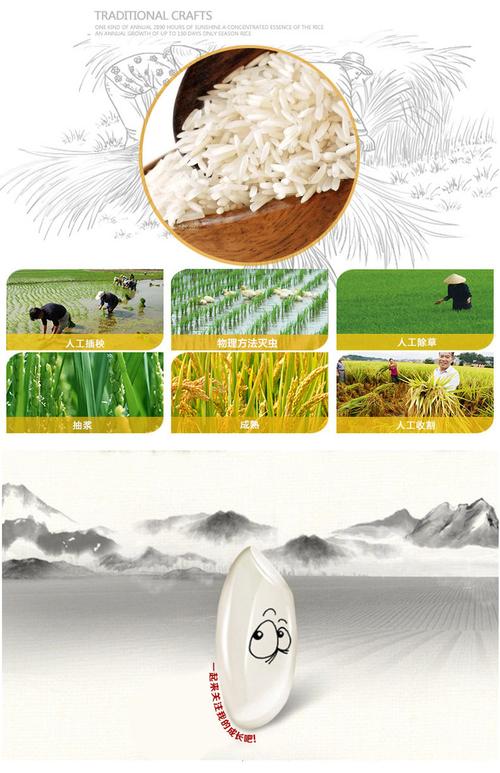 特产美香新占 绿色健康有机食品零售批发 养生的大米自然香送礼